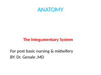 integumentary (1).pptx